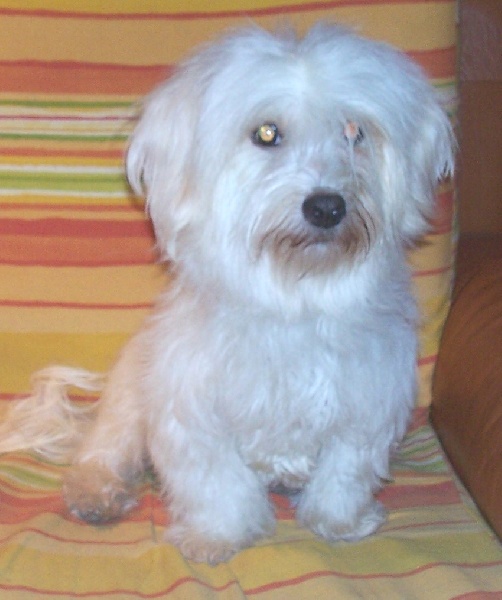 Anais De herdezabad