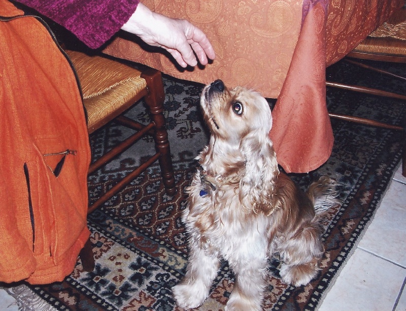 Boy du domaine des quatre Pierres