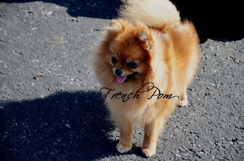 Helma du domaine des quatre Pierres